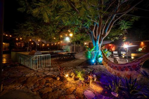 a park at night with a tree and lights at Casa Hala LOFT & SPA LUXURY in León