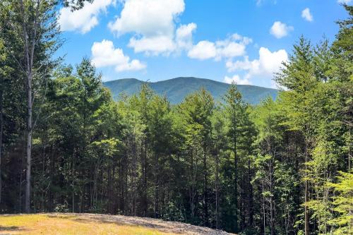 a forest of trees with mountains in the background at Higher Ground at Lake James in Nebo