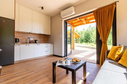 a living room with a couch and a table at Zielona Żaba in Derc