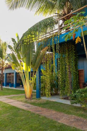 a blue building with a bunch of plants on it at Vila Kavaju Preá in Prea