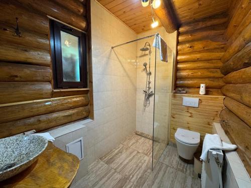 Et badeværelse på Vraja Padurii