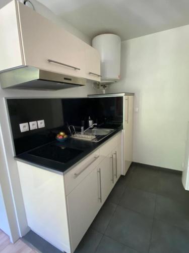 une cuisine avec un évier et un plan de travail dans l'établissement Charman Studi au coeur de Lille, à Lille