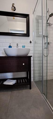 a bathroom with a sink and a glass shower at Domek na Błotach in Karwieńskie Błoto Drugie