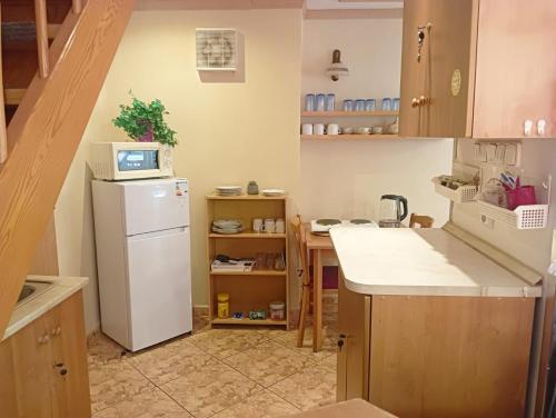 a kitchen with a white refrigerator and a counter at Penzion Oáza Hřensko in Hřensko