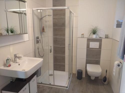 Koupelna v ubytování Ferienwohnung am Emerbergweg Zwiefalten