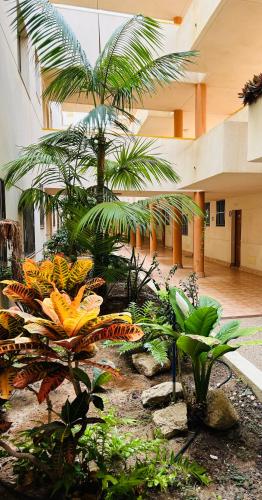 El Medano La Ola. Cabezo Beach 2 rooms parking place