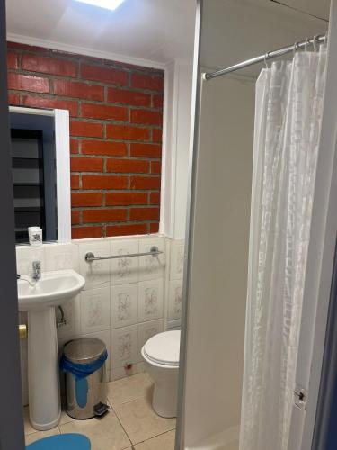 a bathroom with a white toilet and a sink at Hostal Maipu Street in Punta Arenas