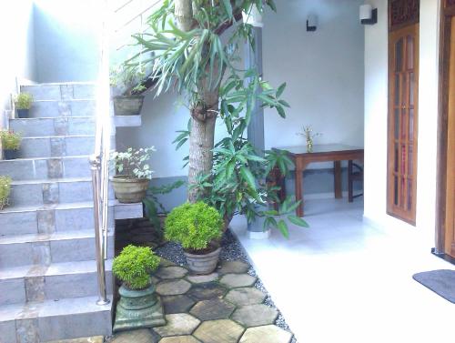 a courtyard with potted plants next to a staircase at Aayu's Guest in Bentota