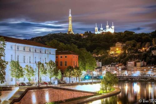 Appart climatisé Terrasse Vue sur Lyon et les quais de Saône photo 10