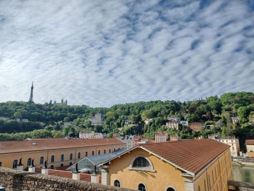 Appart climatisé Terrasse Vue sur Lyon et les quais de Saône photo 25