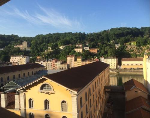 Appart climatisé Terrasse Vue sur Lyon et les quais de Saône photo 26