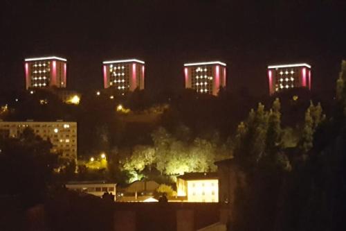 Appart climatisé Terrasse Vue sur Lyon et les quais de Saône photo 34