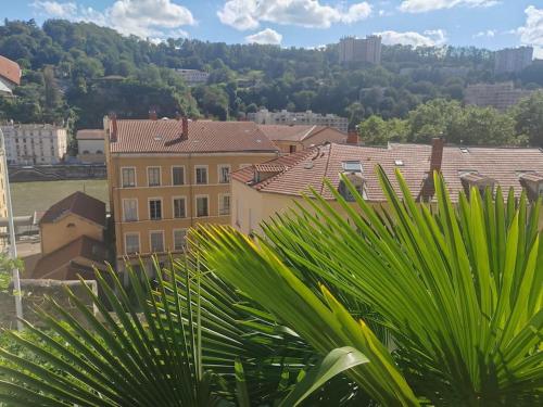 Appart climatisé Terrasse Vue sur Lyon et les quais de Saône photo 38