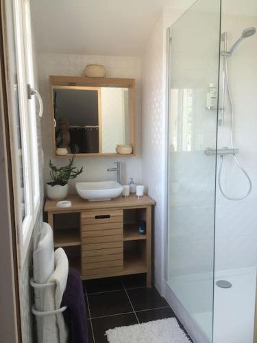 une salle de bain avec un lavabo et une douche dans l'établissement Appart climatisé Terrasse Vue sur Lyon et les quais de Saône, à Lyon