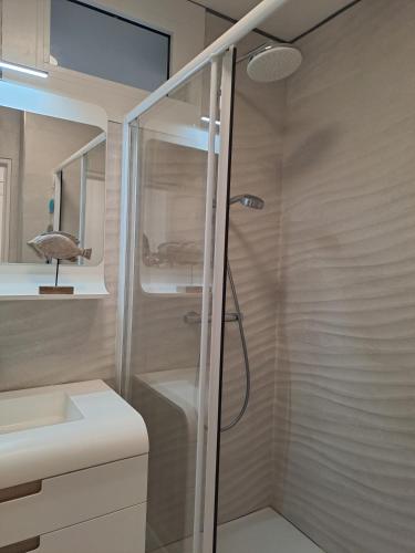 une salle de bain avec douche et lavabo dans l'établissement A 800 m de la grande plage et du centre ville, à Biarritz