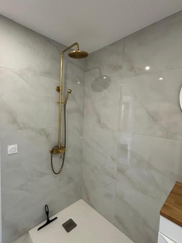 une salle de bain avec douche et lavabo dans l'établissement Appartement cosy, à Bagnols-en-Forêt