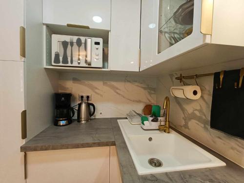 une petite cuisine avec un évier et un comptoir dans l'établissement La Résidence Fleuries - Plage, à Cannes