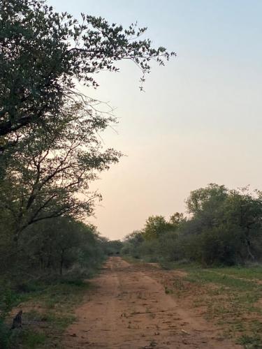 a dirt road in the middle of a field with trees at Camel Creek Safari Lodge in Thabazimbi