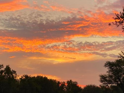a sunset with a group of trees in the foreground at Camel Creek Safari Lodge in Thabazimbi