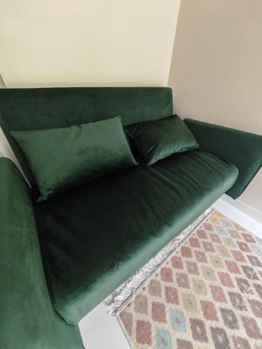 un canapé vert avec deux coussins sur un tapis dans l'établissement STUDETTE LA ROSÉE ABONDANTE Non-fumeur, 45 min de Paris, 10m2, indépendante, cosy, apaisante, mobiliers convertible, WiFi, TV, kitchenette, sanitaires inclus visibles dans la même pièce, mini terrasse, jardin, canapé-lit 120x180, 1 à 2 pers gabarit moyen, à Savigny-le-Temple