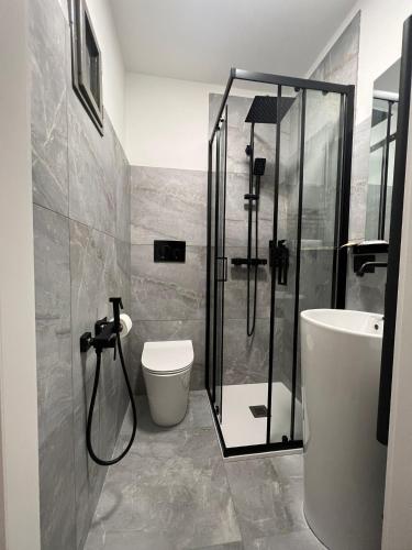 a bathroom with a shower and a toilet and a sink at La Torretta in Piancastagnaio