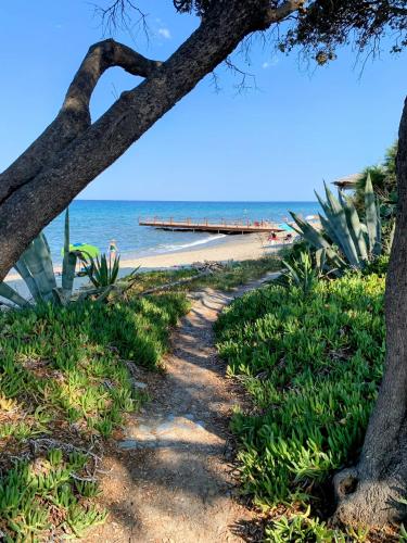 Chez Aline - Appartement en bord de mer