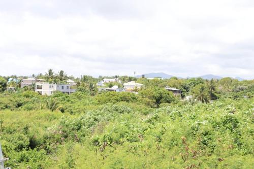 Un paisaje natural cerca del departamento