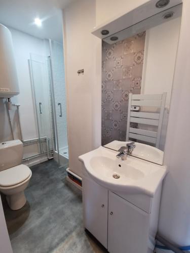 une salle de bain avec un lavabo blanc et des toilettes dans l'établissement Bel appartement en face de la pépinere de Nancy Stanislas, à Nancy