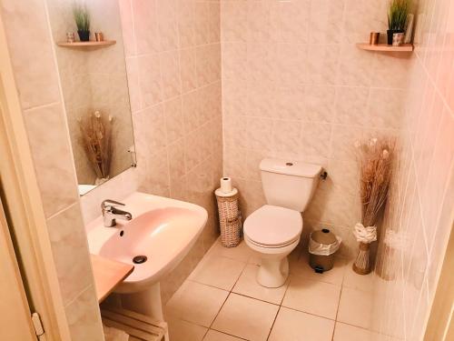 une petite salle de bain avec toilettes et lavabo dans l'établissement Large Relaxing Spot on the River Lot, à Penne-dʼAgenais