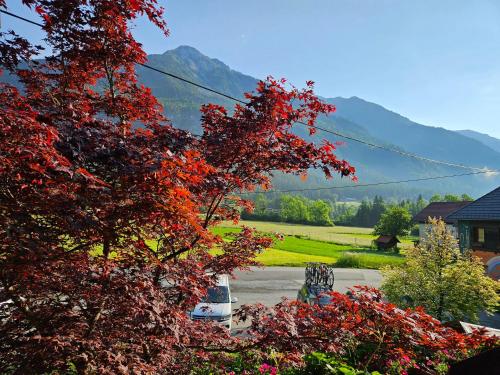 a van parked on a street with a mountain in the background at Ski&Bike Nassfeld Apartments in Hermagor
