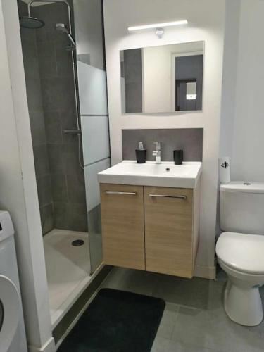 une salle de bain avec un lavabo, une douche et des toilettes dans l'établissement Large 40m2 Prox Lille-métro-tram, à Roubaix