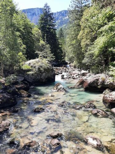 Φυσικό τοπίο κοντά σε αυτό το διαμέρισμα