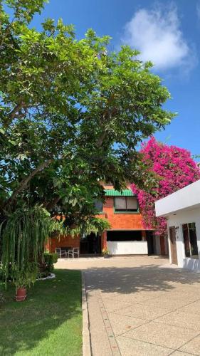 a building with a tree with pink flowers on it at Hotel La Mar Playas in Playas