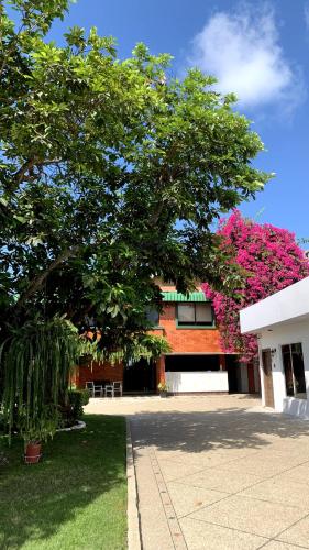 a tree in front of a building with pink flowers at Hotel La Mar Playas in Playas
