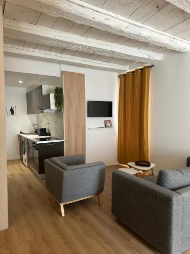 un salon avec deux canapés et une cuisine dans l'établissement Appartement Centre ville Besançon, à Besançon