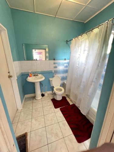 a bathroom with a toilet and a sink at Cozy Family Inn in Port Antonio