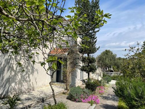 Κήπος έξω από το Villa Dea Solis