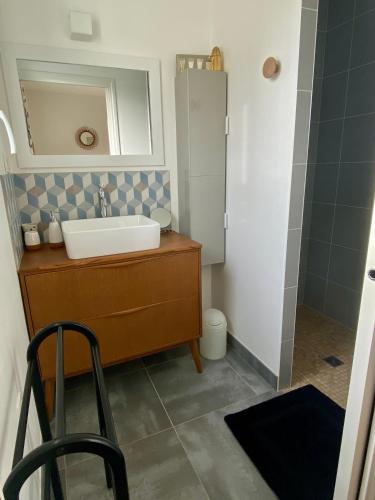 une salle de bain avec un lavabo et un miroir dans l'établissement Au Renard Baulois - chambre d'hôtes, à La Baule