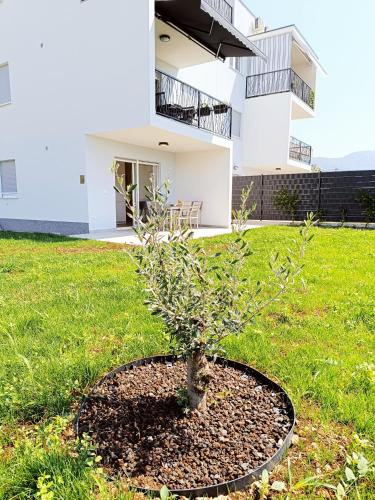 Apartman Zelena Oaza