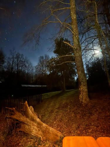 un albero che giace a terra accanto a una recinzione di notte di Domos Elohim a Pucón