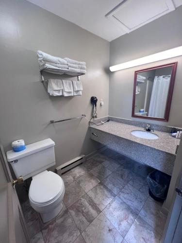 a bathroom with a toilet and a sink and a mirror at Rodeway Inn & Suites Hershey Chocolate Avenue in Hershey