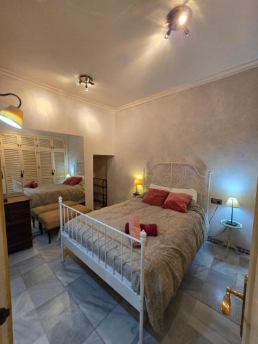APARTAMENTO EN CASA PALACIO CENTRO HISTÓRICO