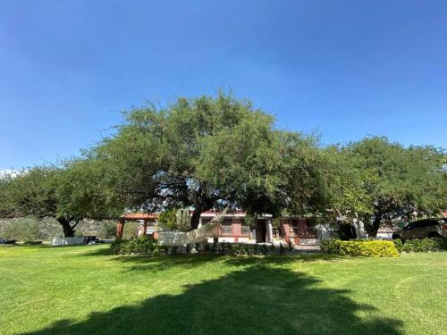 a large tree in the middle of a grass field at Hermosa Casa de Campo in El Varal