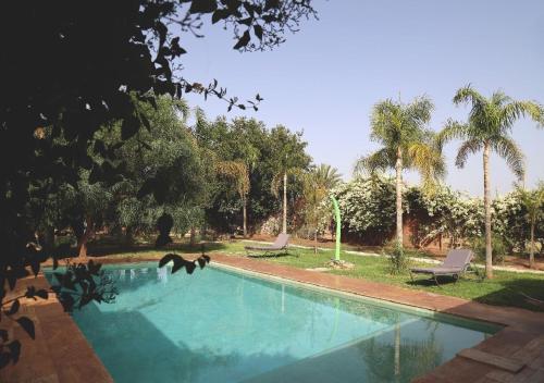 a swimming pool with two chairs and palm trees at Maison d'Hôtes à Marrakech in Marrakech