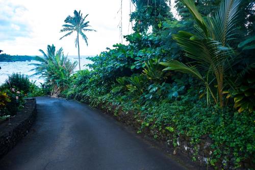 a dirt road next to the water with a palm tree at Hana Kai Maui - #104 Haneoʻo in Hana