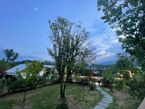 a tree in the middle of a yard at night at Zhangjiajie Cliff Flower RV Tent Hotel in Sanguansi
