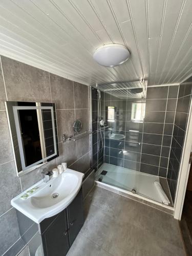 a bathroom with a sink and a shower at Hotel du Levant in Castellane