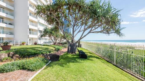 two cats sitting in the grass next to a palm tree at Viscount on the Beach in Gold Coast