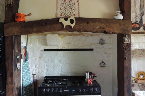 une cuisine avec une cuisinière avec une vache sur le mur dans l'établissement En route pour la Sélinière !, à Champ-du-Boult