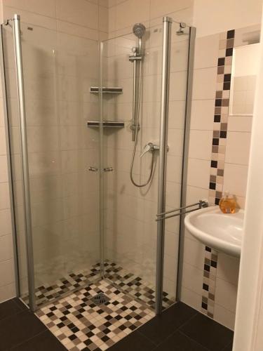 a bathroom with a shower and a sink at Landhaus il Cavallino in Sassenberg